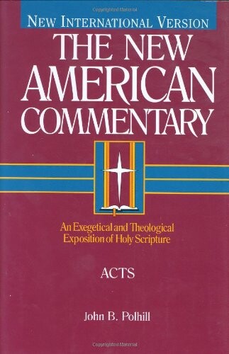 The New American Commentary Volume 26 - Acts