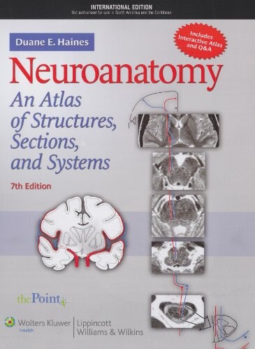 Neuroanatomy