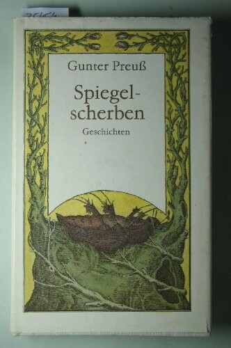 Spiegelscherben: Geschichten (German Edition)
