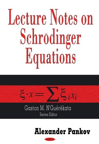 Lecture notes on Schrödinger equations