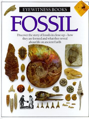 Fossil (Eyewitness Books)