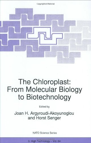The Chloroplast: From Molecular Biology to Biotechnology (NATO Science Partnership Sub-Series: 3:)