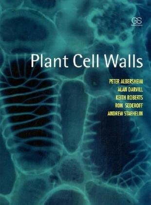 Plant Cell Walls