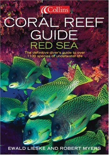 Coral reef guide : Red Sea to Gulf of Aden, South Oman