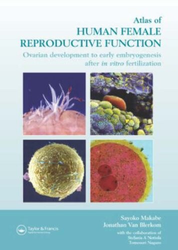 Atlas of Human Female Reproductive Function: Ovarian Development to Early Embryogenesis after In-Vitro Fertilization