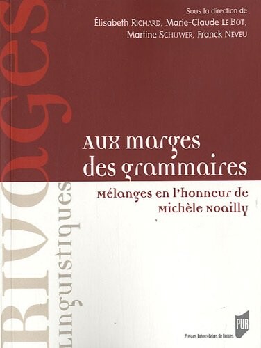 Aux marges des grammaires (French Edition)