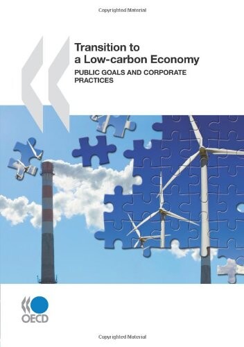 Transition to a low-carbon economy:  Public goals and corporate practices