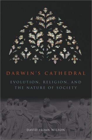 Darwin's cathedral : evolution, religion, and the nature of society