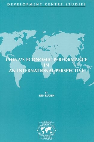 China's economic performance in an international perspective