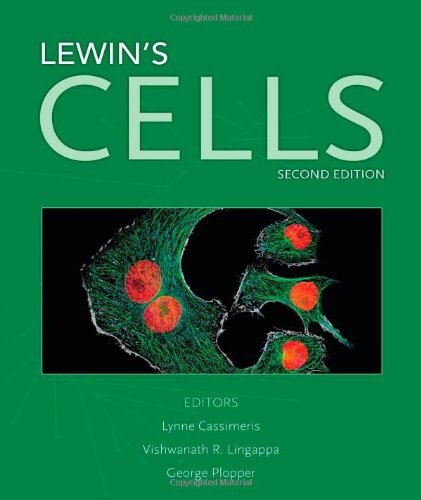 Lewin's cells