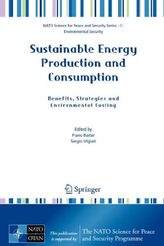 Sustainable Energy Production and Consumption: Benefits, Strategies and Environmental Costing (NATO Science for Peace and Security Series C: Environmental Security)