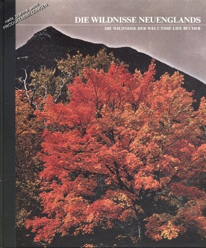 Die nichttuberkulosen Lungenkrankheiten im Kindesalter (German Edition)