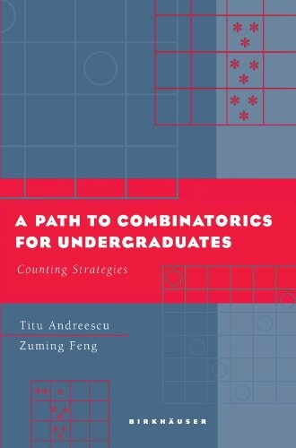 A Path to Combinatorics for Undergraduates: Counting Strategies