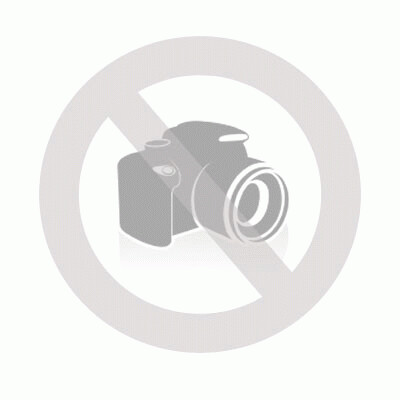 Poison heart: přežil jsem Ramones