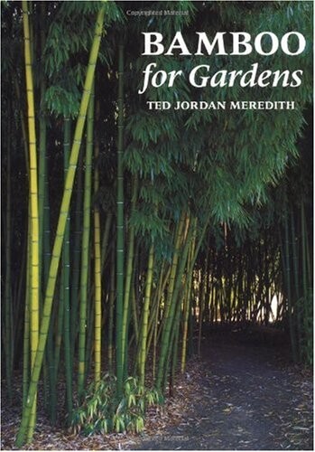 Bamboo for Gardens