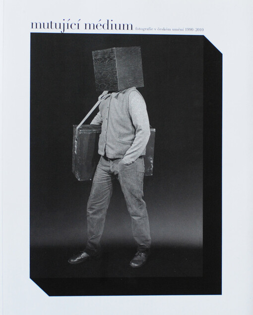 Mutující médium :fotografie v českém umění 1990-2010