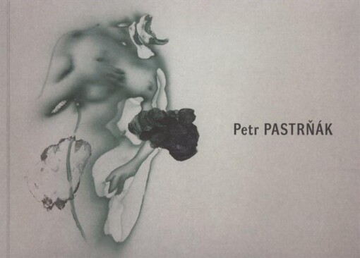 Petr Pastrňák : [Oblastní galerie Vysočiny v Jihlavě 29.4.-28.6.2009