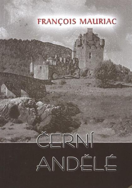 Černí andělé : román