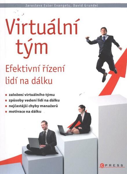 Virtuální tým : efektivní řízení týmu na dálku