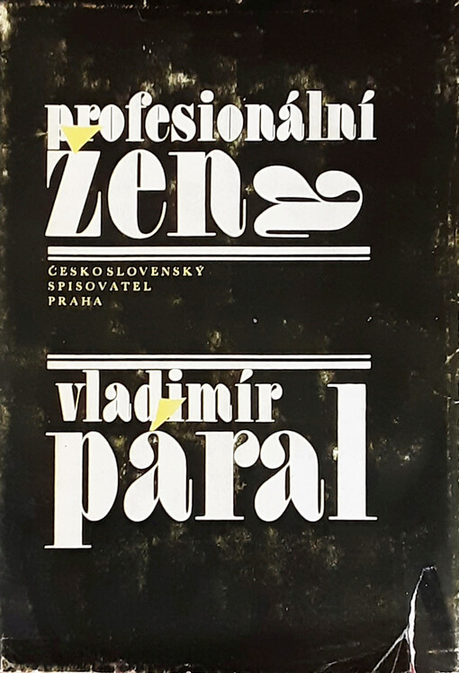 Profesionální žena: román pro každého