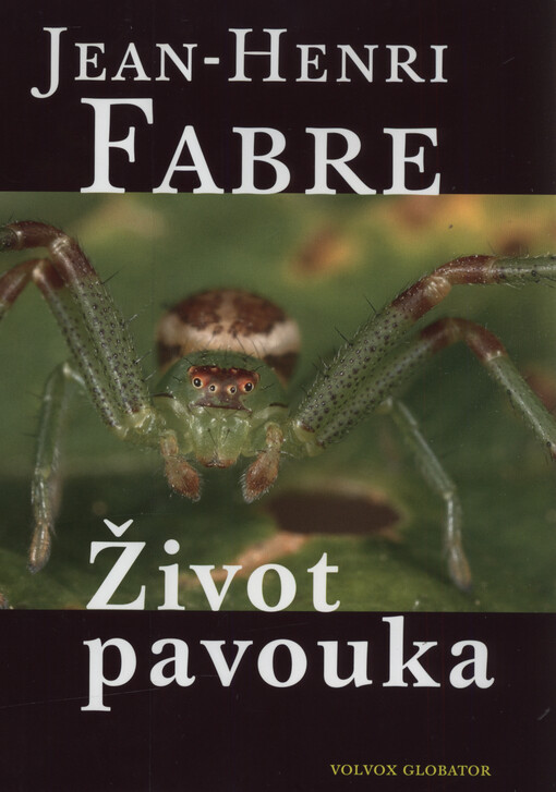 Život pavouka