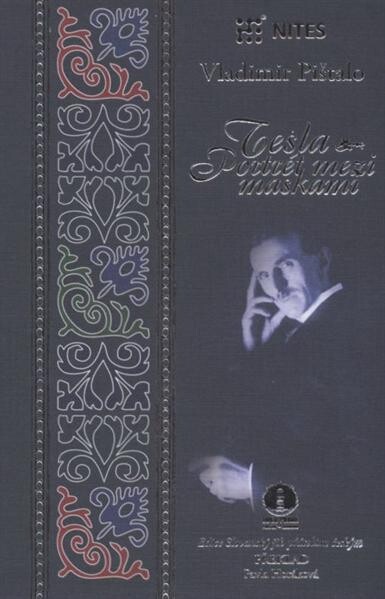 Tesla : portrét mezi maskami : román