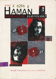 Prozaické surfování.