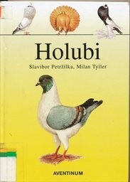 Holubi