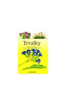Trvalky