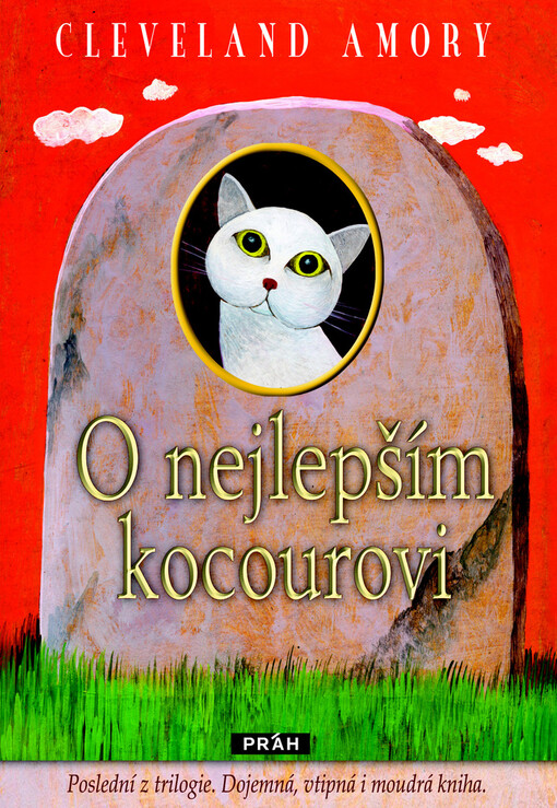 O nejlepším kocourovi