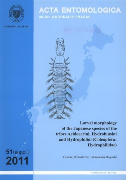 Larval morphology of the Japanese species of the tribes Acidocerini, Hydrobiusini and Hydrophilini (Coleoptera: Hydrophilidae)