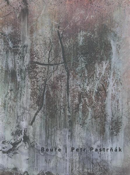 Bouře - Petr Pastrňák