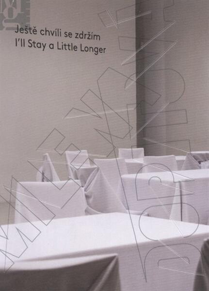 Ještě chvíli se zdržím =I'll stay a little longer : Milena Dopitová : [Moravská galerie v Brně, Pražákův palác, 15.7.-9.10.2011