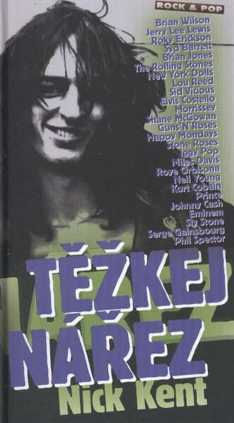 Těžkej nářez :vybrané texty o rockové hudbě