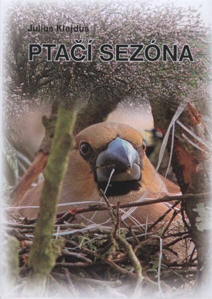 Ptačí sezóna