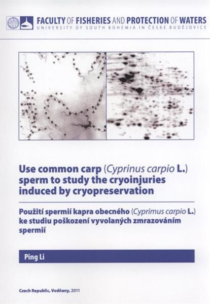 Use common carp (Cyprinus carpio L.) sperm to study the cryoinjuries induced by cryopreservation = Použití spermií kapra obecného (Cyprinus carpio L.) ke studiu poškození vyvolaných zmrazováním spermií