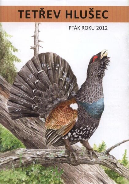 Tetřev hlušec : pták roku 2012