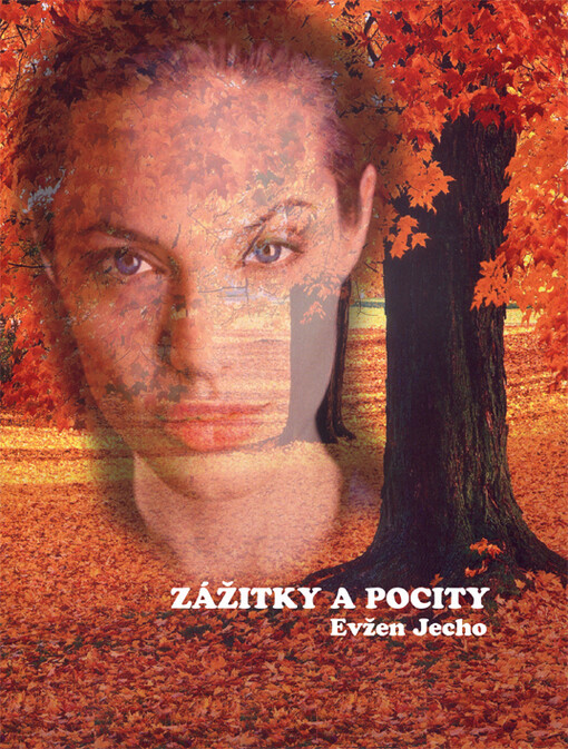 Zážitky a pocity