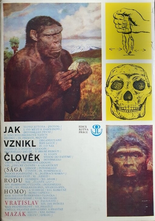 Jak vznikl člověk: (sága rodu Homo)