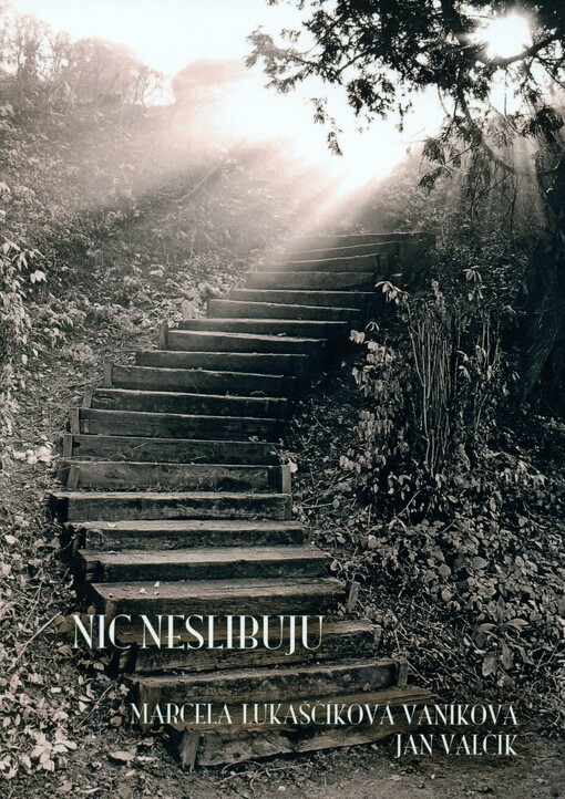 Nic neslibuju