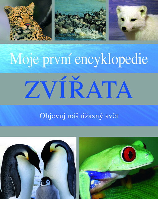 Zvířata : moje první encyklopedie : objevuj náš úžasný svět