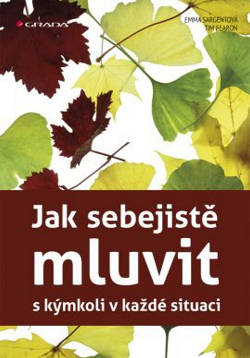 Jak sebejistě mluvit s kýmkoliv v každé situaci