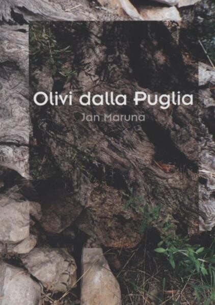 Olivi dalla Puglia