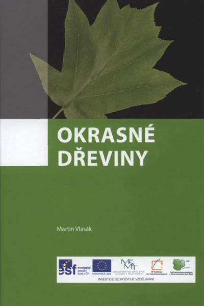 Okrasné dřeviny