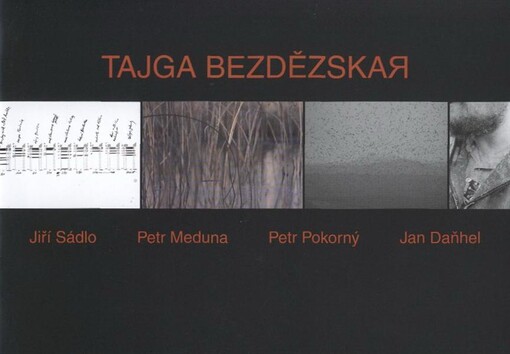 Tajga bezdězskaja
