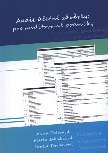 Audit účetní závěrky: pro auditované podniky