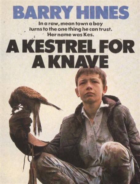 A kestrel for a knave