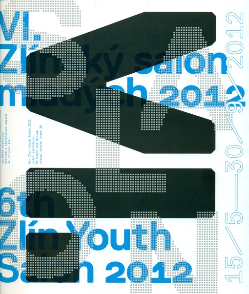 VI. Zlínský salon mladých 2012 : společná přehlídka českých a slovenských umělců do třiceti let