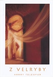 Z velryby : 1993-95 : [metafyzický příběh]