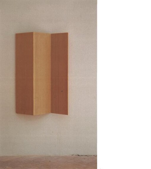 Petr Stibral :něco mezi plochou a prostorem : Galerie Dům, 17.6.-12.8.2012